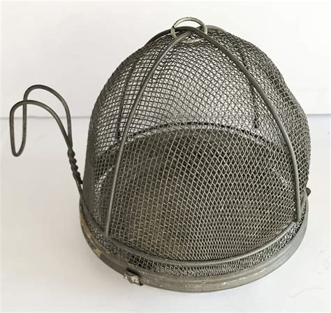 Wiccan wire mesh insect catcher